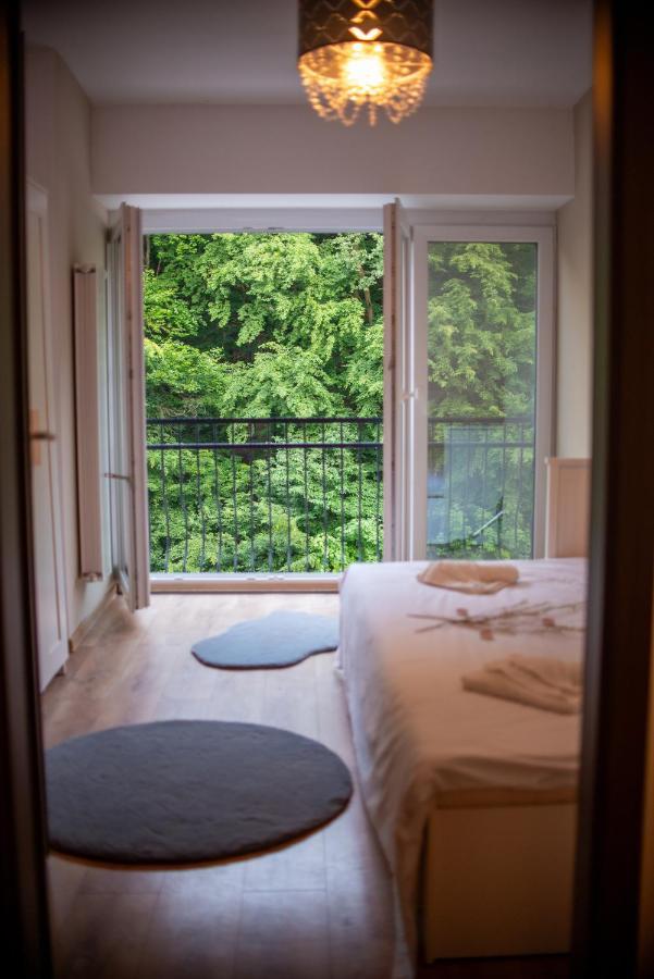 Forest Therapy Suite - Sub Padure Grand Comfort ブラショフ エクステリア 写真