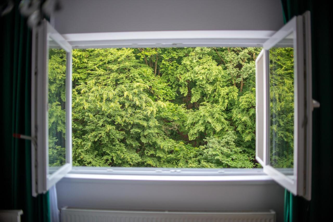 Forest Therapy Suite - Sub Padure Grand Comfort ブラショフ エクステリア 写真